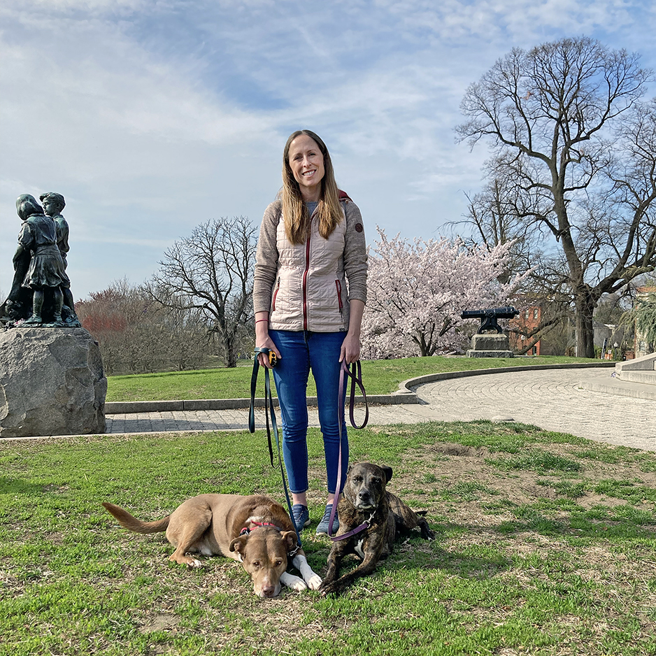 Reactive trained dog on a pack walk